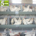 INNAER poultry cage factory supply high quality poultry farming equipment for poultry chickens ( 0086-18231821782 )
